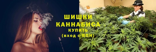 дмт Арсеньев