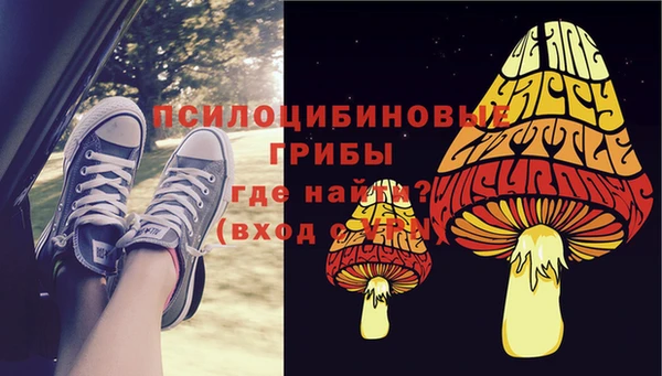 дмт Арсеньев