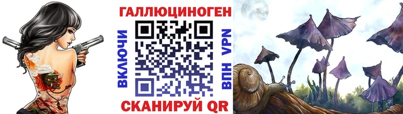 Псилоцибиновые грибы прущие грибы  площадка клад  Усть-Илимск  цена наркотик 